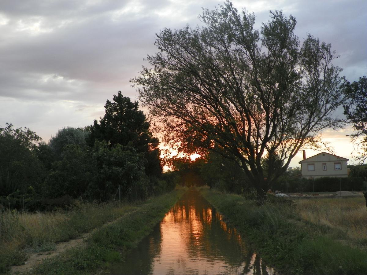 El Rincon De Los Abuelos Tudela de Duero Dış mekan fotoğraf